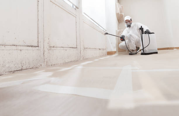 24/7 Emergency Attic Mold Remediation experts in Bloomington, MD
